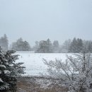 로얄카프라자 | 하루니테라스, 딸기 찹쌀떡, 렌트카, 스키야키 정식, 가루이자와 프린스 쇼핑 플라자 쇼핑 후기, 야키니쿠