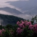 산 - 태백시 황지연못길 19 | 산