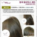 태후사랑 이미지