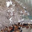 양심농장 이미지