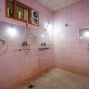 통고산자연휴양림 이미지