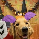 멍블랑 유치원 이미지