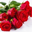 빵긋빵긋 이미지