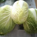 OK마트(곤지암)