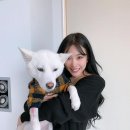 티파니&펫