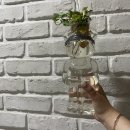 RR-78[정문로]-하-7 | 22년 7월 근황 ❶