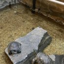 양서·파충류생태공원 1층 이미지