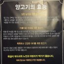 호운 | [선유도역] 양꼬치 러버의 내돈내산 단골집 “호운양꼬치” 솔직후기(메뉴추천+주차)