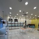 달링하이 강아지분양 창원점 이미지