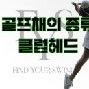 와이에스투어 이미지