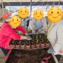 인경농장 이미지