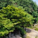 향원산장 네이버블로그