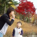 천일목장 이미지