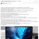 법인그루 이미지