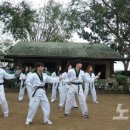 영진태권도 이미지