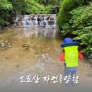 오도산자연휴양림 데크 계곡 물놀이 방문기