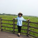 거성초등학교 이미지