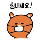 365숙녀복