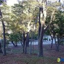 숲쟁이 이미지