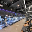 바디플레이스 이미지