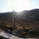 수목부동산공인중개사사무소 이미지