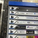 세종 폴댄스,세딘 여신쌤이 있는 오하운으로