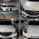 100프로카센타 이미지