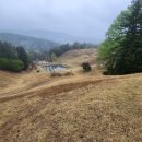 오희문 묘 이미지