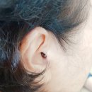 판교보청기센터 이미지