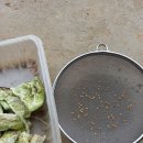 2025년 종자기능사 실기시험(필답문제및 정답) 이미지