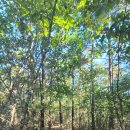 통진현감부사선정비 | 김포 월곶군하 통진향교,통진이청,선정비 역사탐방과 문수산 산행기