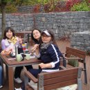 반석목장 이미지