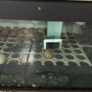 철이네농장 이미지