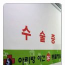 햇빛 동물병원 이미지