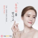 서울미의원 이미지