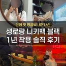 인생로랑 | 휘뚤마뚤 1년 사용 후기｜생로랑 니키백 미디엄 블랙 내돈내산 (인생 첫 명품백, 20·30대 추천)