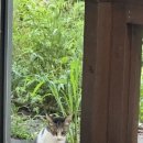 목섬독채펜션 이미지