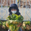 뽑고놀고 이미지