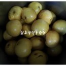 감초당건강원 - 용인시 처인구 성산로169번길 4 | [괴산감초당] 배즙 중탕추출가공 - 괴산