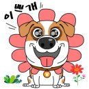 순심이 애견미용 이미지