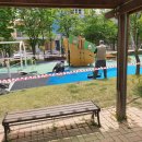 미르 어린이공원 이미지