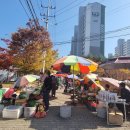 별빛공원 앞 횡단보도 이미지