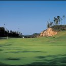 아리지 골프장 이미지