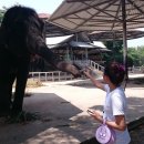 아이러브타이 - 진주시 하대로 79 | 아이러브타이