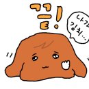 소미팥칼국수 이미지