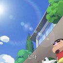 셀포스 이미지
