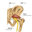 월계옆골 네이버블로그