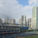 양덕동401 | NC다이노스 직관후기...