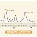 키네스 이미지