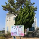 꿈에본꽃돼지 | [제주올레길4코스] 꿈에 본 꽃돼지 두루치기 후기